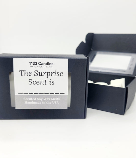 Surprise Scented Wax Melts | Soy Wax Melts for Warmers | Choose Your Scent