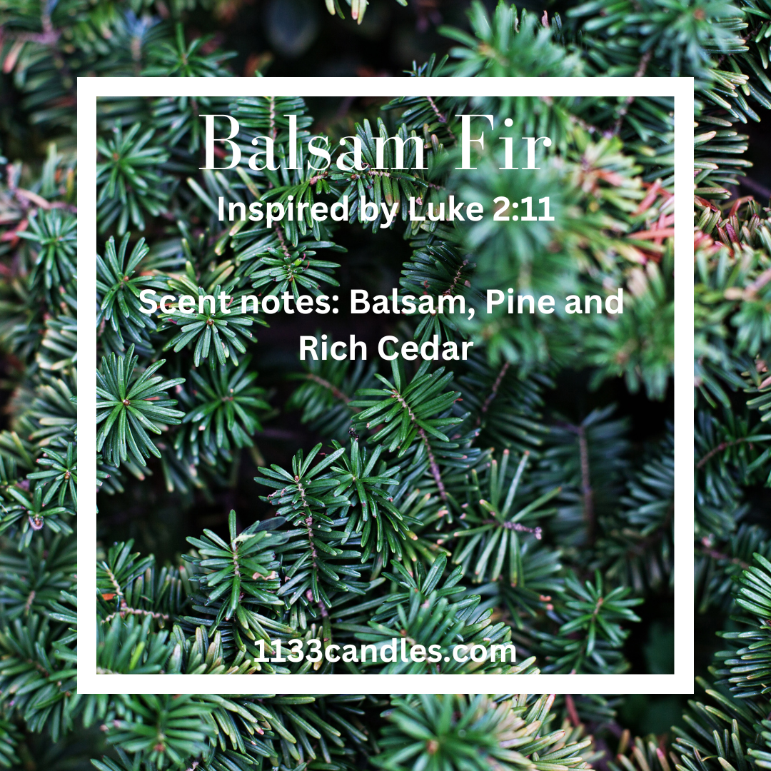 Balsam Fir 4oz Candle | Mini Christmas Candle